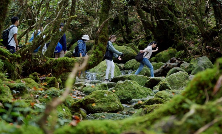 かけがえのない体験を屋久島で