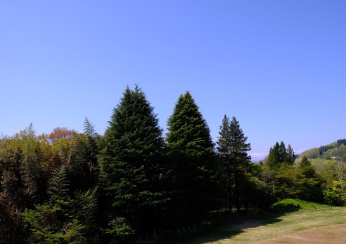 ステップ高等学校
